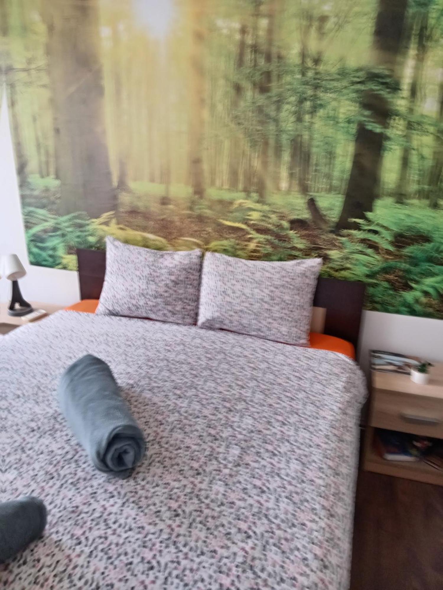 בלגרד Car Lazar Apartment מראה חיצוני תמונה