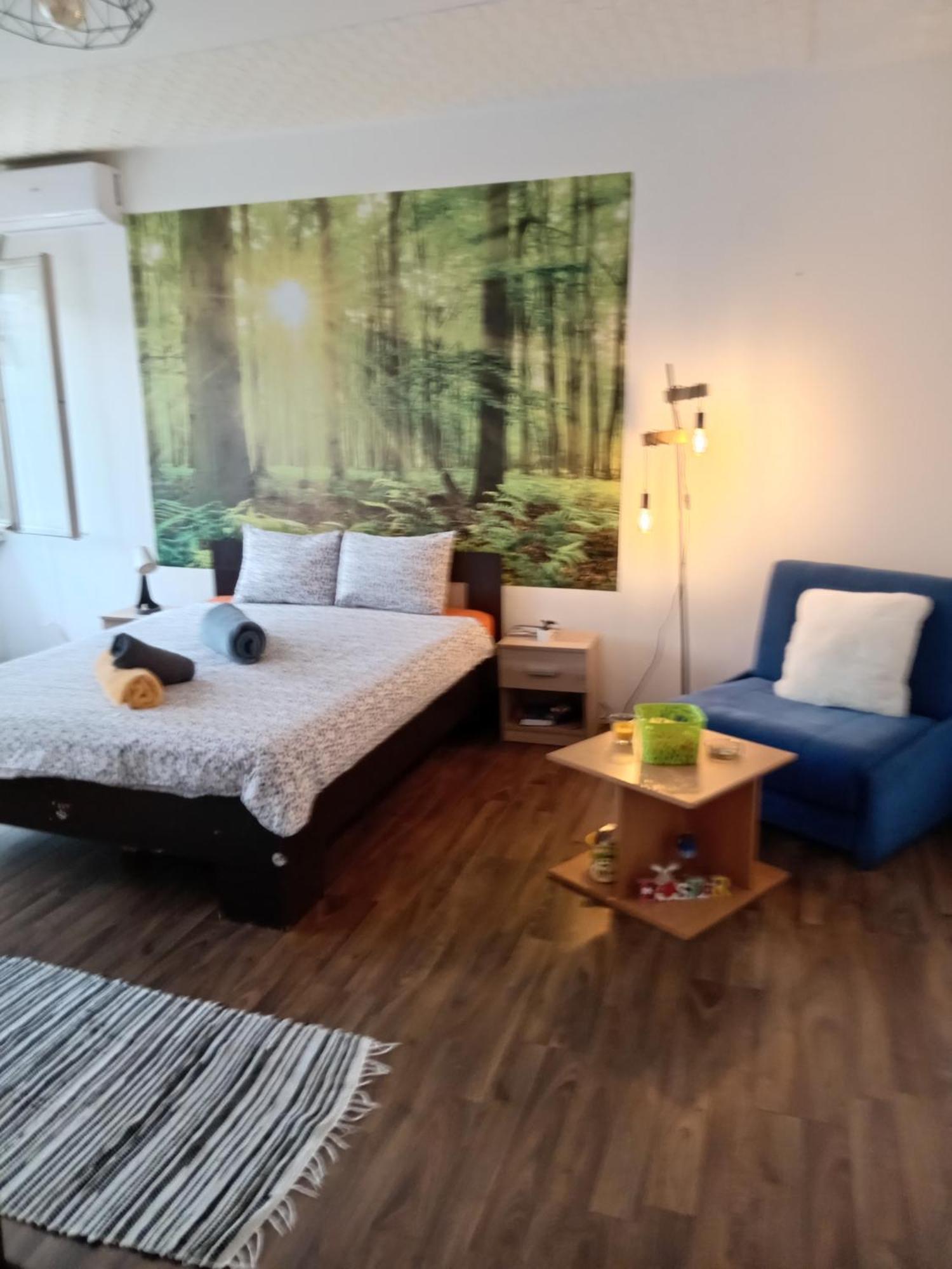 בלגרד Car Lazar Apartment מראה חיצוני תמונה